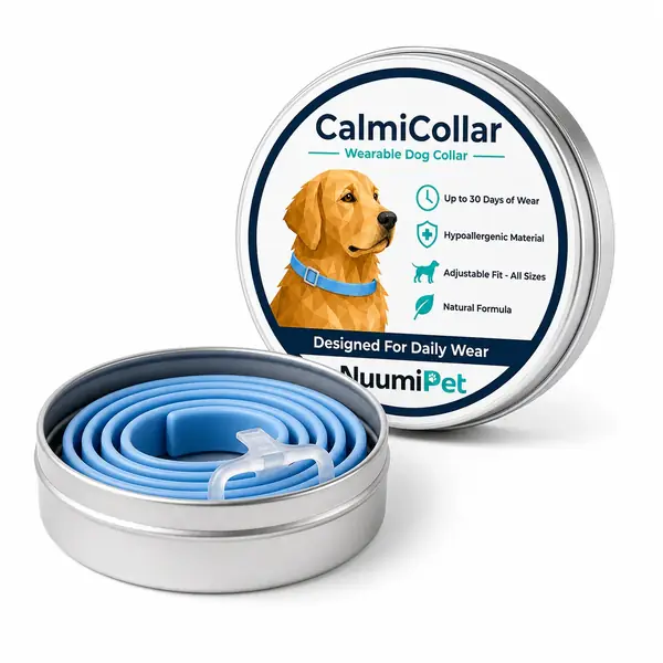 One CalmiCollar in its tin