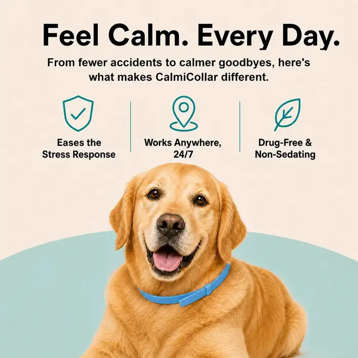 CalmiCollar infographic listing stress response, 24/7 wear and non-sedating benefits on a golden retriever