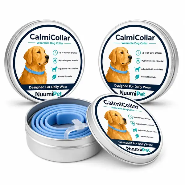 Three CalmiCollar tins in the Buy 2, Get 1 Free bundle