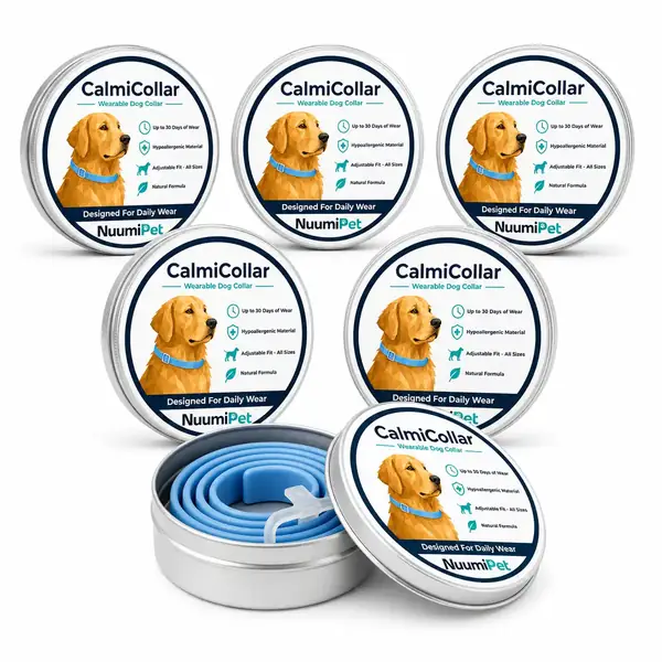 Six CalmiCollar tins in the Buy 3, Get 3 Free bundle