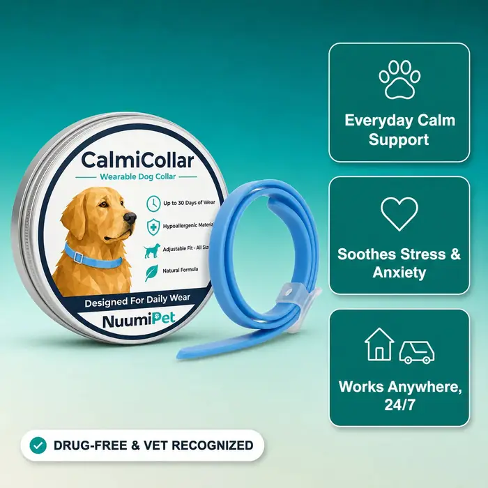 CalmiCollar tin and blue collar with its listed features